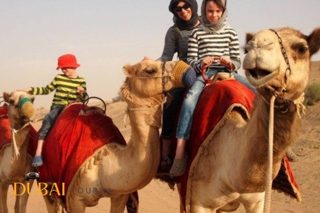 Camel Desert Safari Dubai Tour